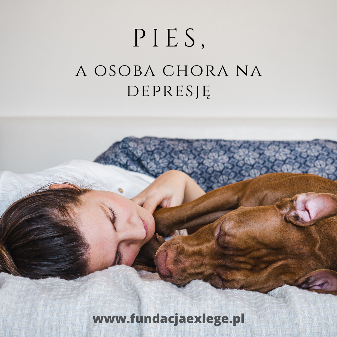 Pies a osoba chora na depresję Fundacja na Rzecz Ochrony Praw